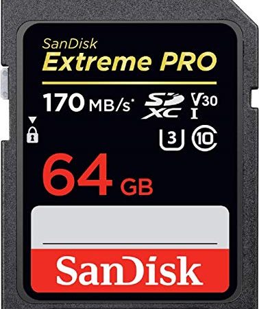 30 Le migliori recensioni di Sandisk Extreme Pro 64 testate e qualificate con guida all’acquisto