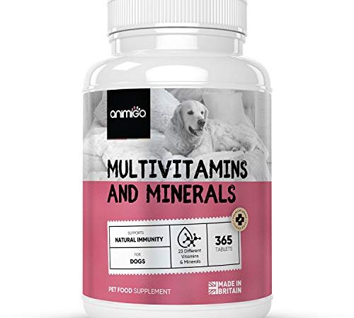 30 Le migliori recensioni di Vitamine Per Cani testate e qualificate con guida all’acquisto